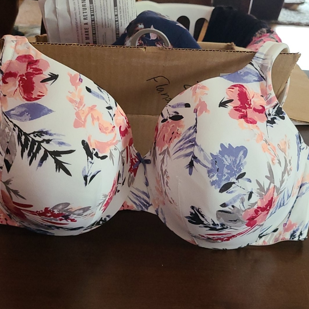 Cacique 46DD